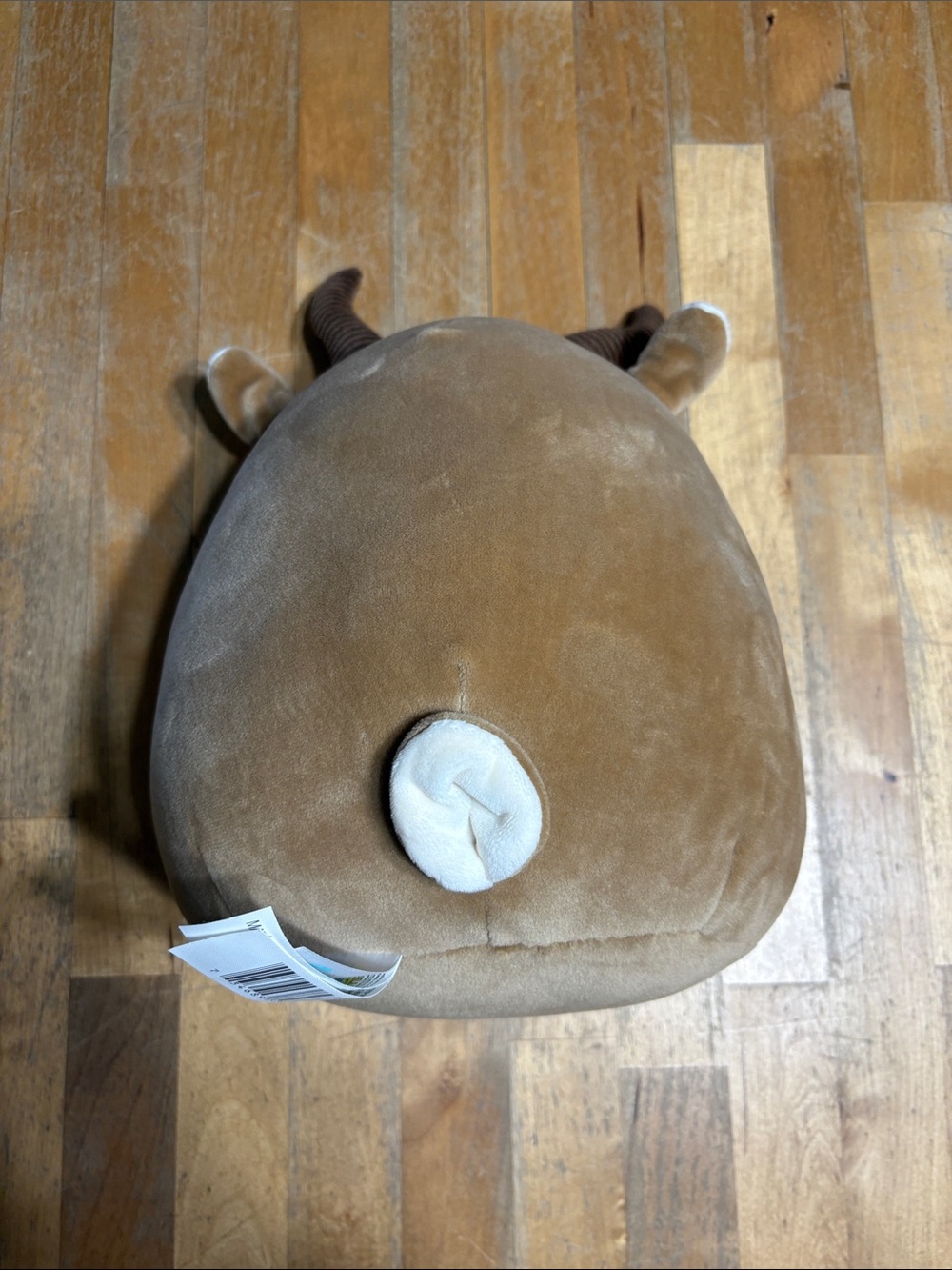 Squishmallows 8” Adila the Antelope - Picture 4 of 6